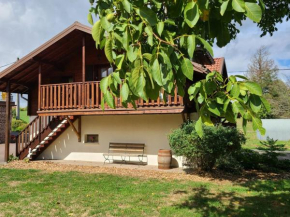 Gîte confortable à Plombières-les-Bains, proche thermes, nature et ski - FR-1-589-194